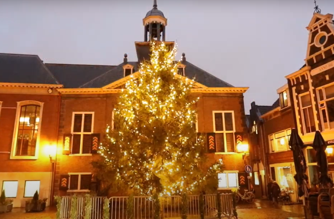 hoofd Mauve personeelszaken Lichtjes grote kerstboom online aangezet | Vlaardingen24
