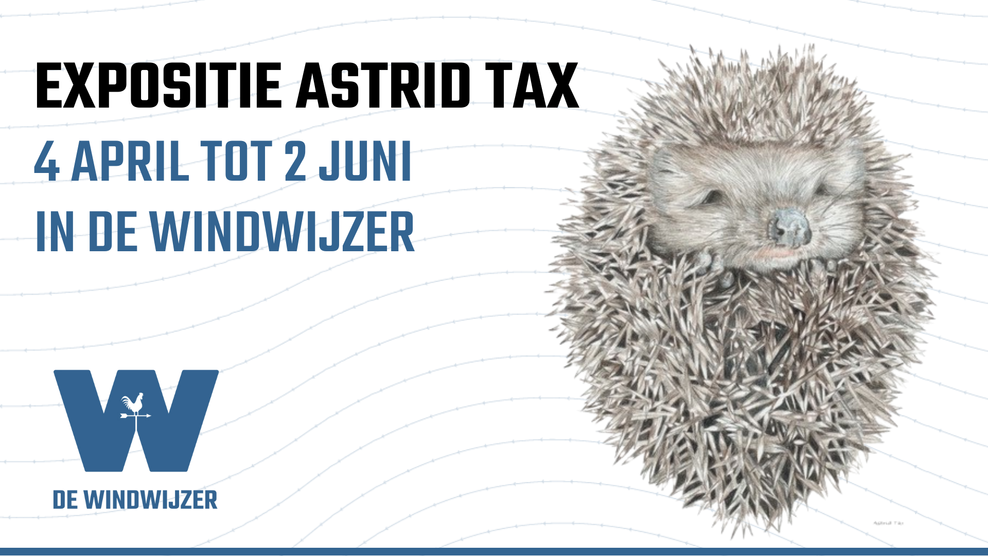 Expositie Astrid Tax in De Windwijzer