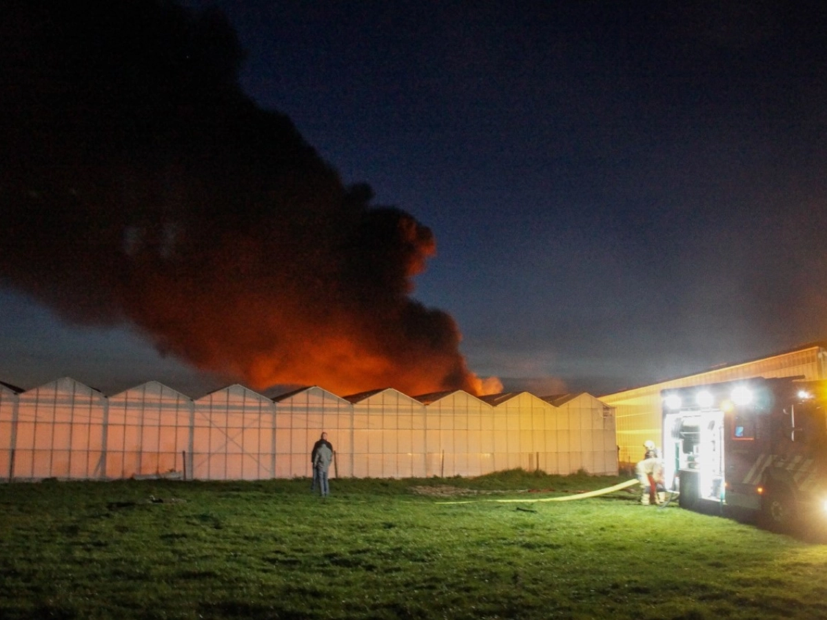 Fllinke rookwolken bij kasbrand in De Lier