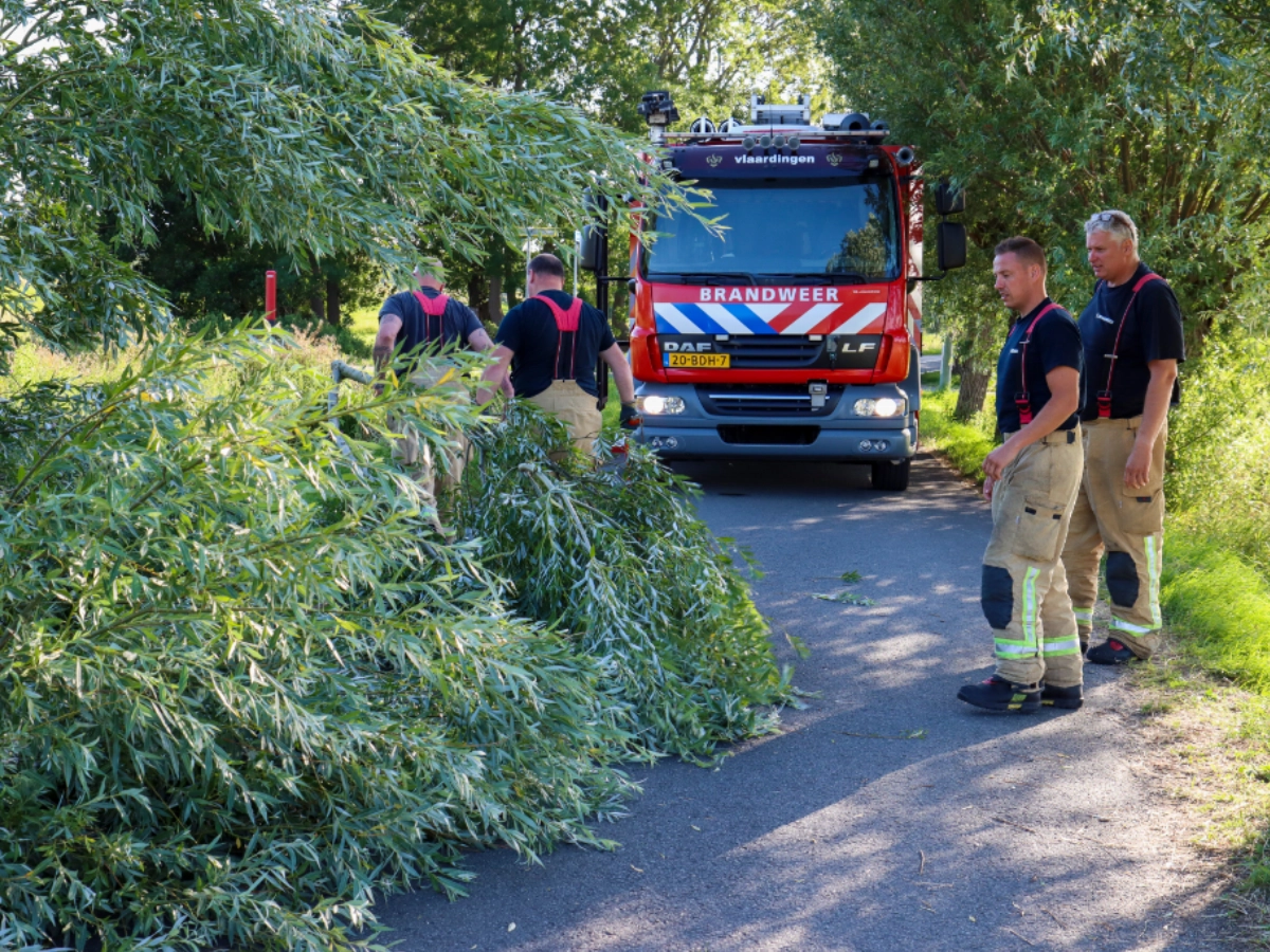 Omgevallen boom blokkeert weg tussen #schiedam en #Vlaardingen.