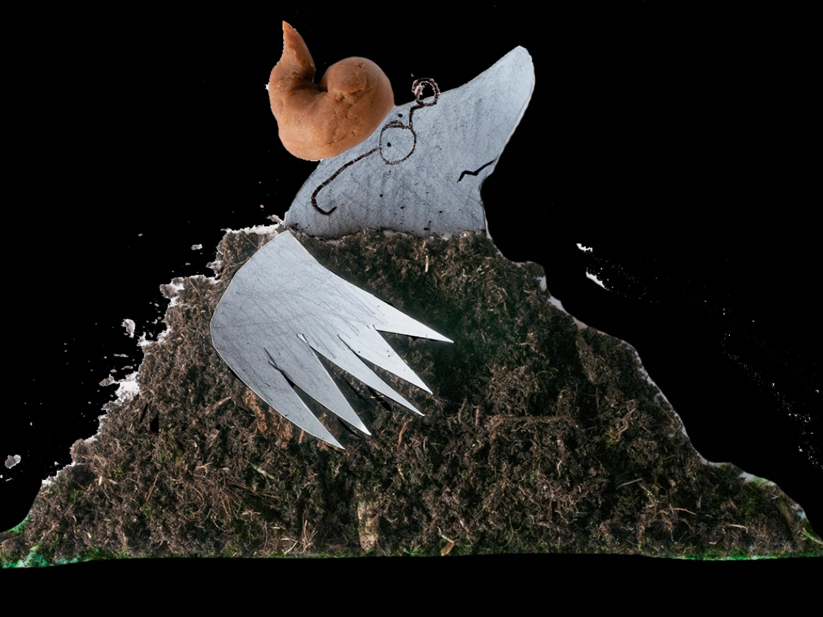 Wie heeft er op de mol zijn kop gepoept? - Maassluis24