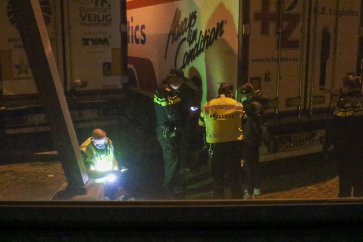 Verstekelingen lopen tegen de lamp.