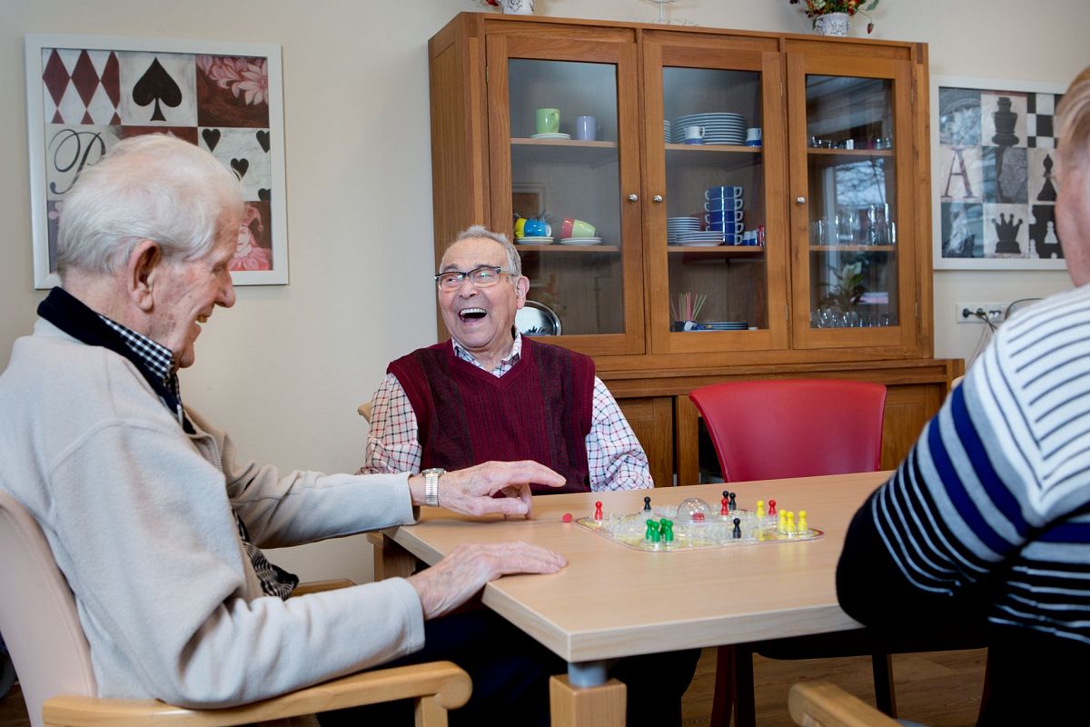 Meet like-minded seniors |  Schiedam24