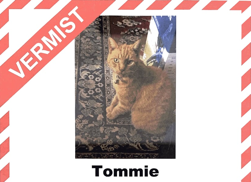Wie heeft Tommie gezien?