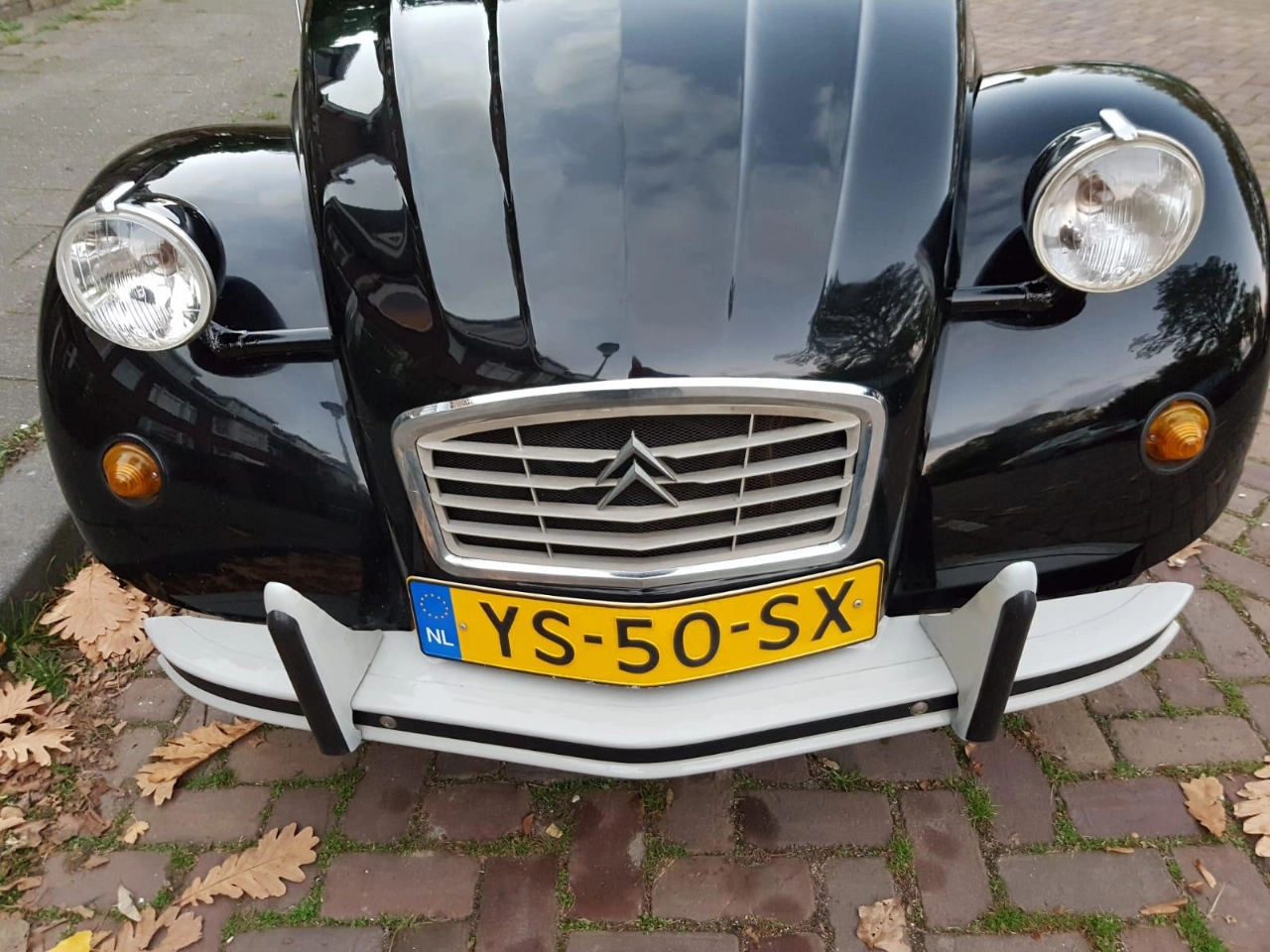 Eend gestolen vanaf de Parkweg