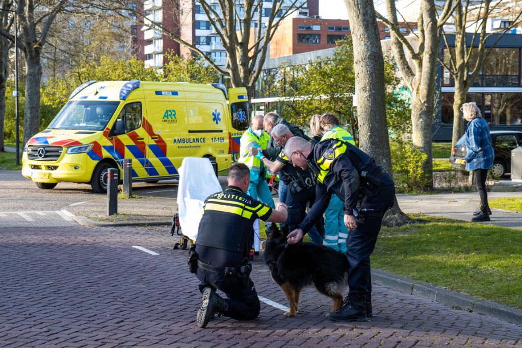 Politie zorgt voor hond verwarde man