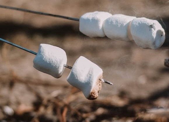 Poffertjes en marshmallows op Stadsboerderij Holywood