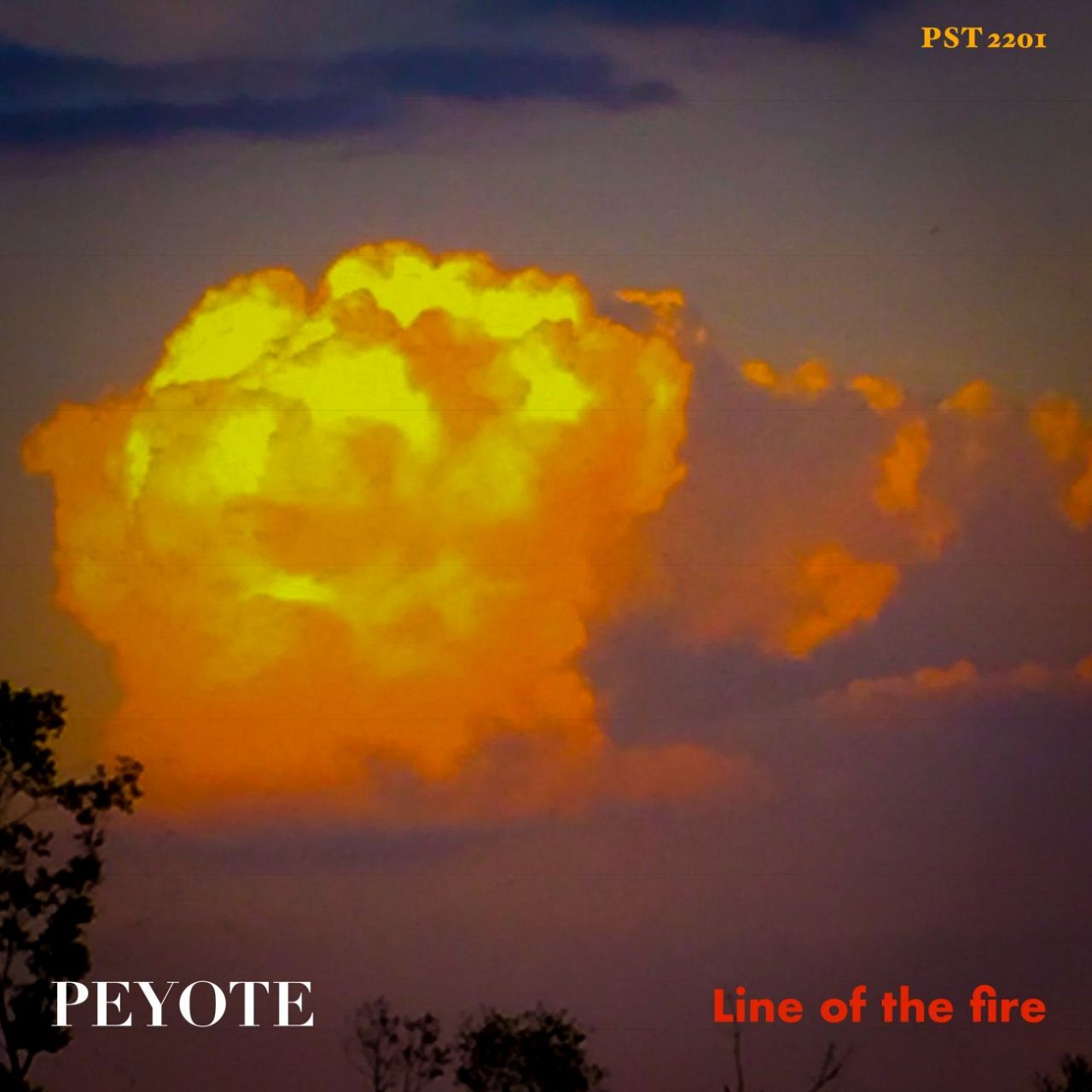 Peyote brengt eigen muziek uit