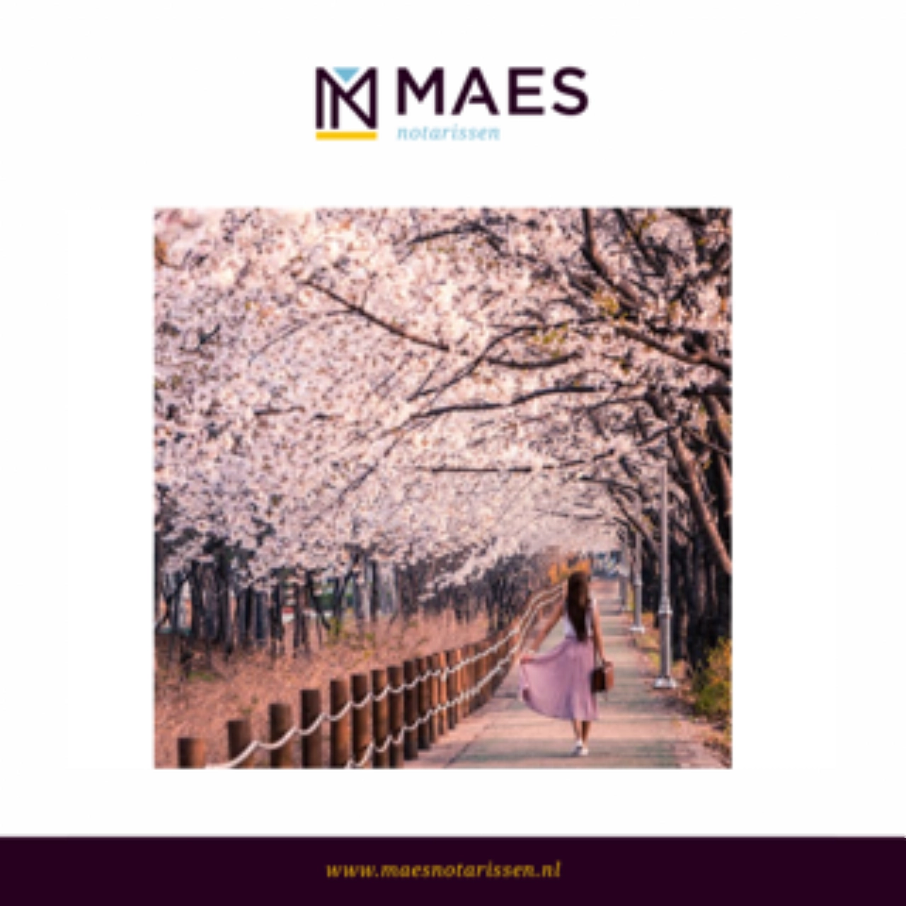 Lenteactie bij Basisnotarissen Rijnmond