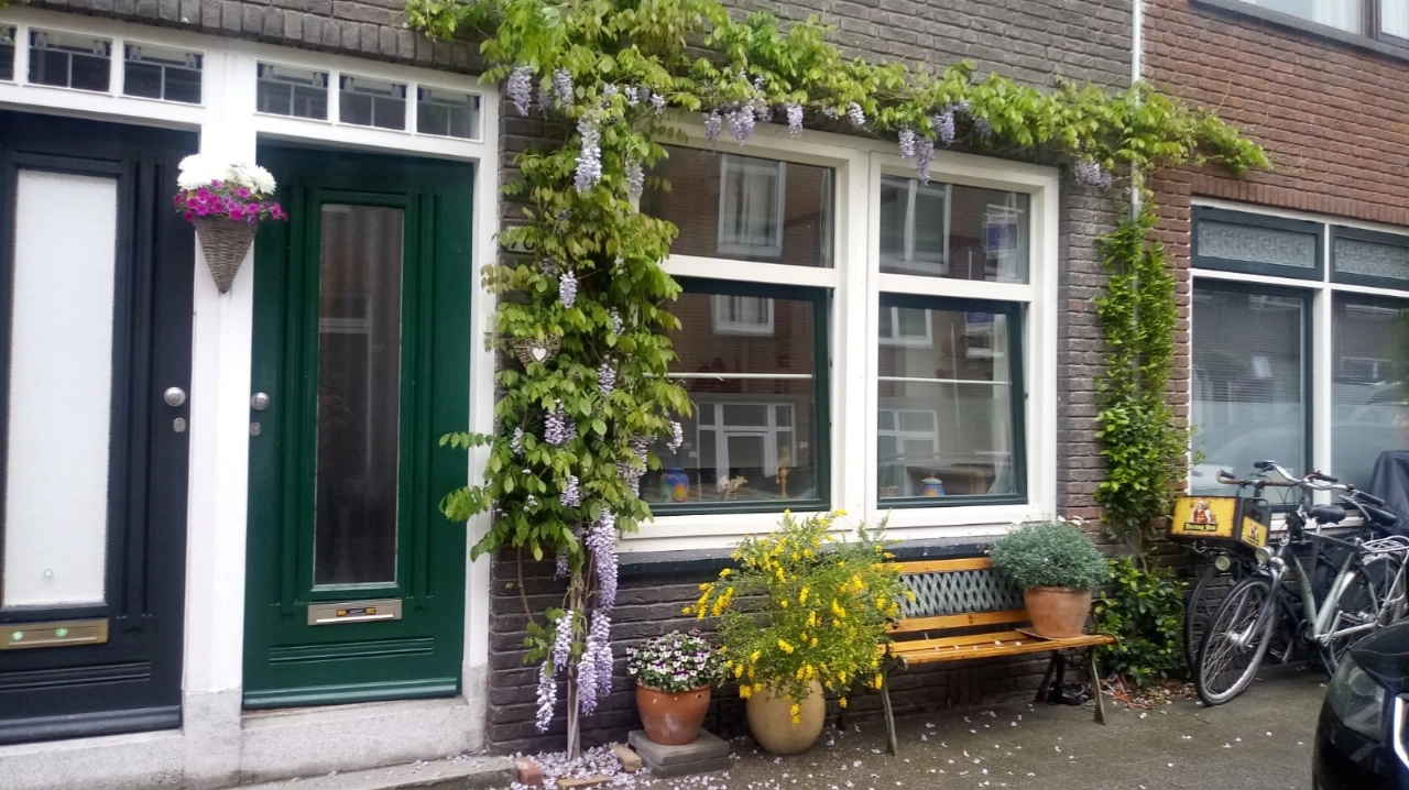 De VOP is weer wat groener en kleurrijker!