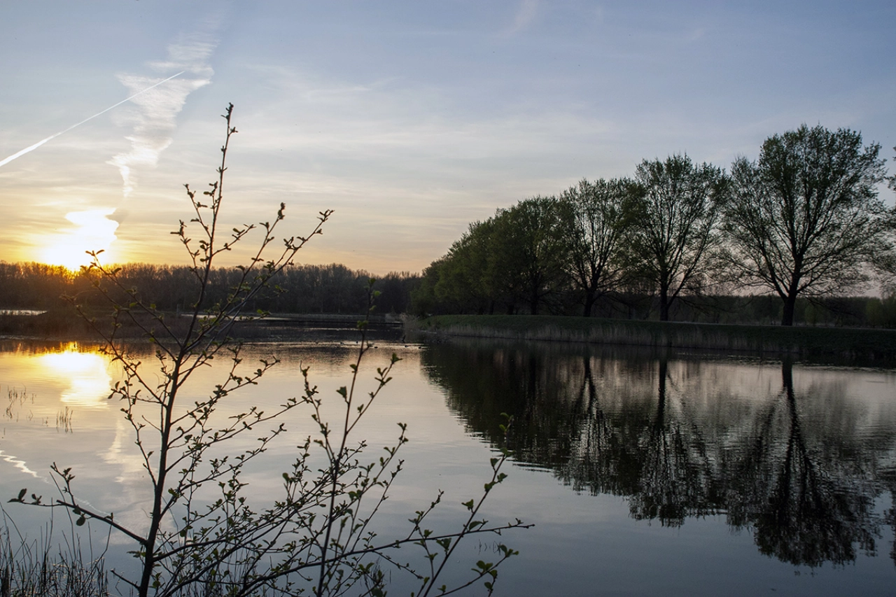 Zomeravondwandeling door de Broekpolder