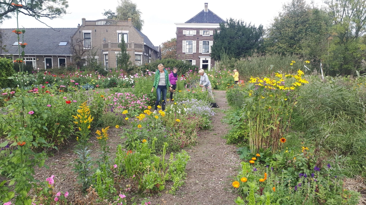 Oogst groenten en bloemen bij Stadslandbouw