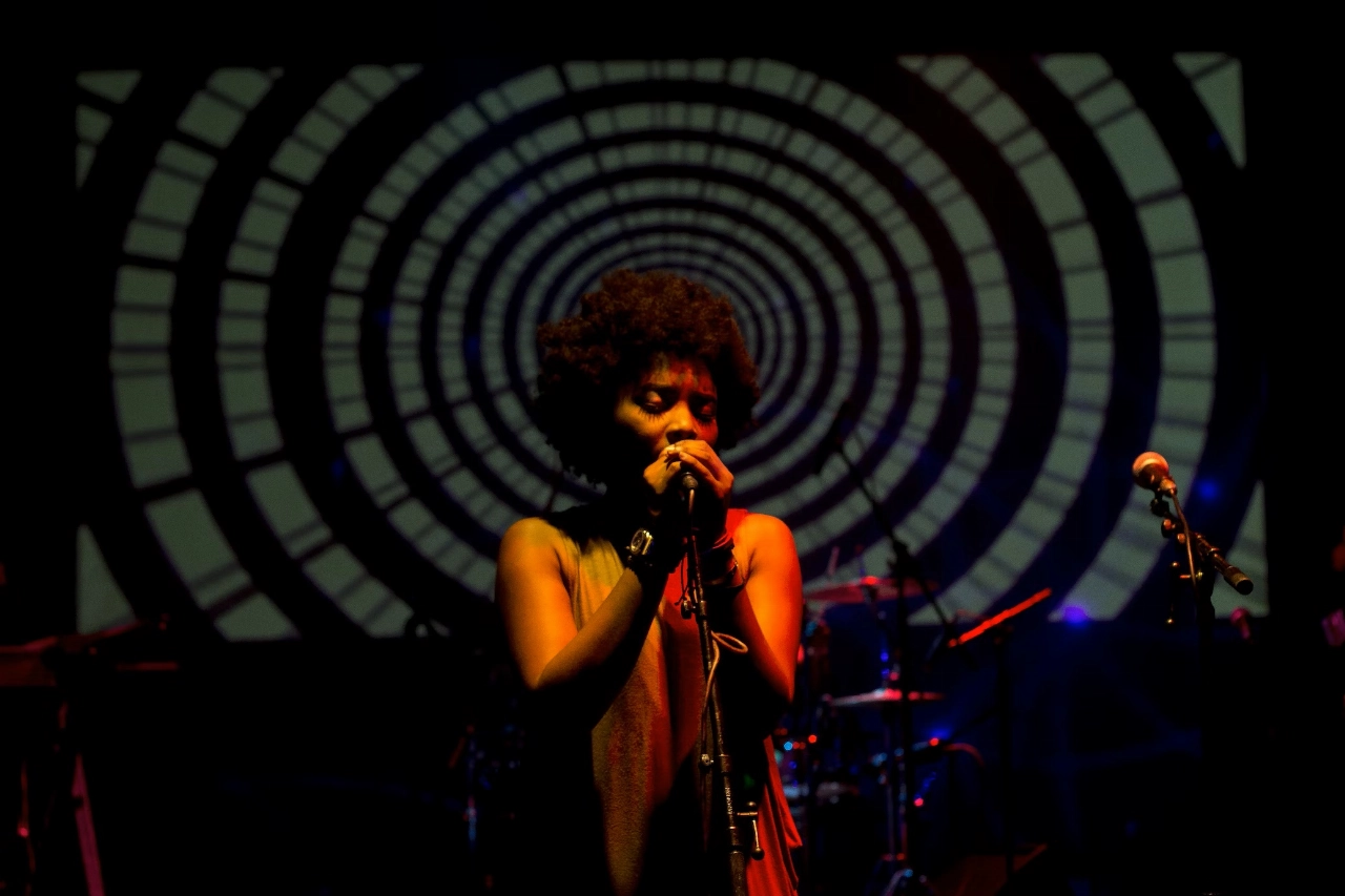 De Swingin' Sixties door Auke Pol