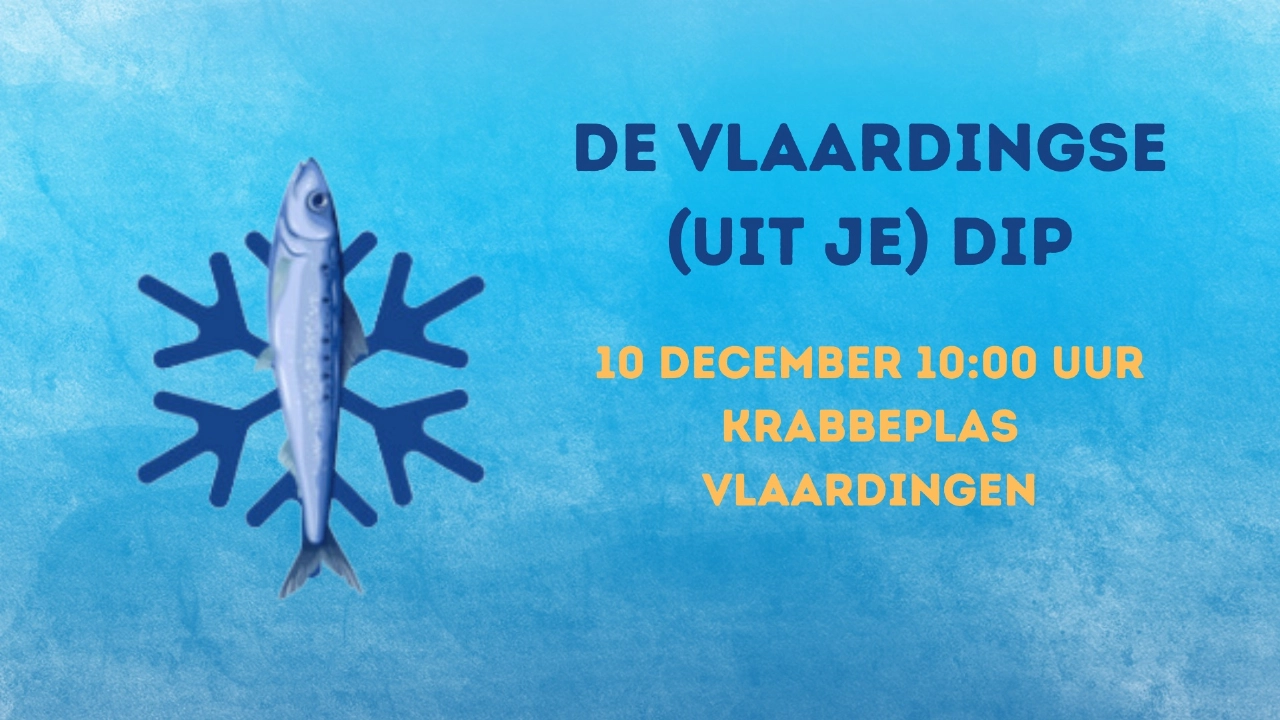 De Vlaardingse (uit je) dip!