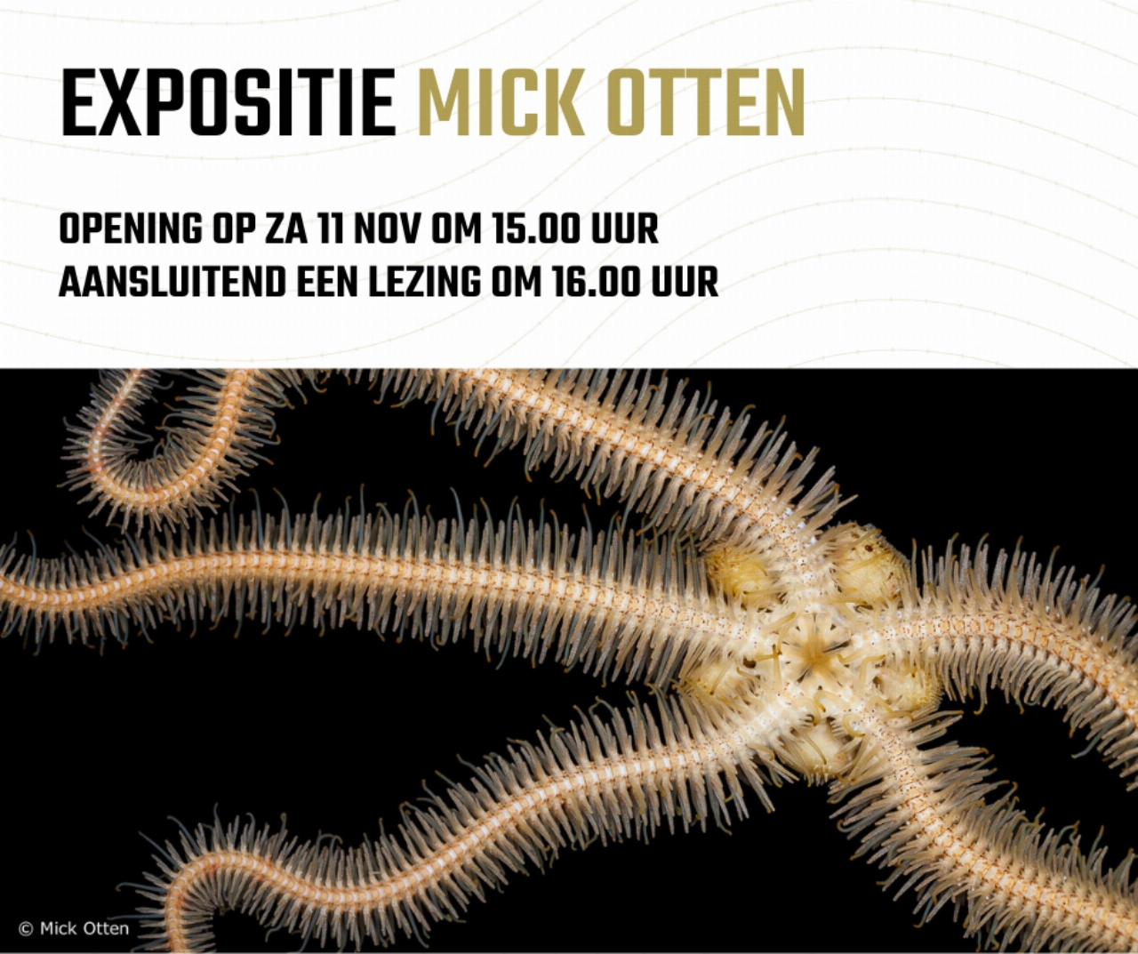 Mick Otten exposeert in de Windwijzer