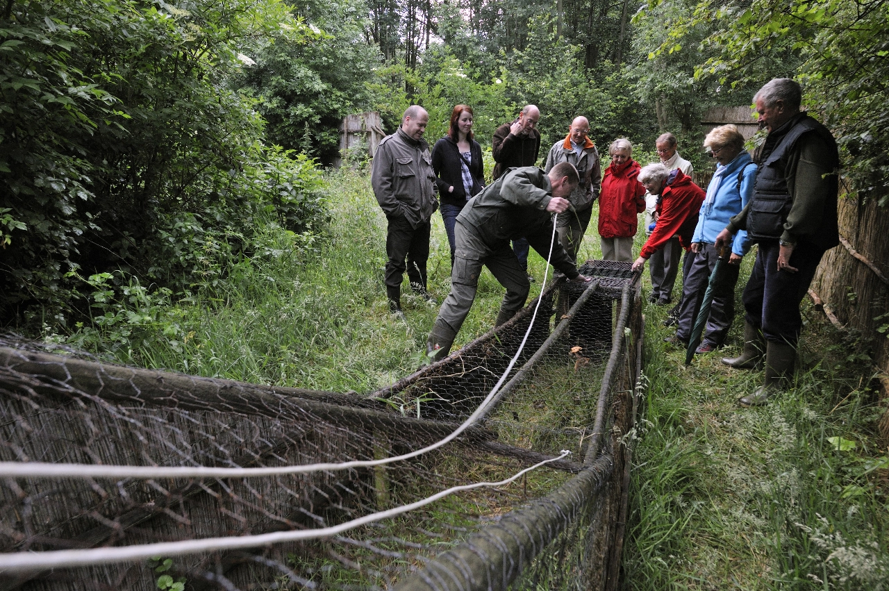 De pijp uit in de eendenkooi