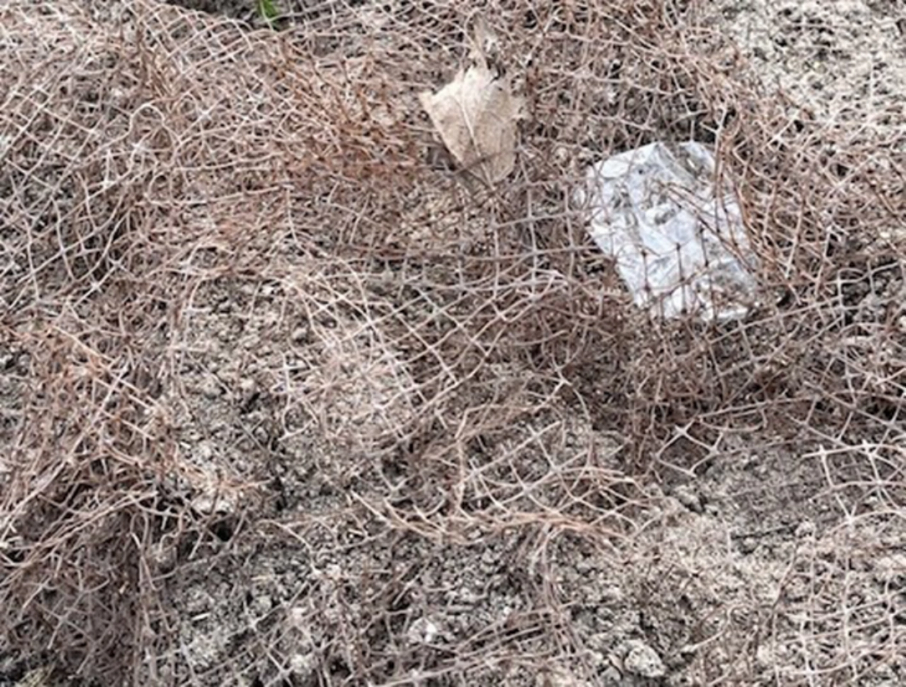 Ingezonden brief: niet zo netjes