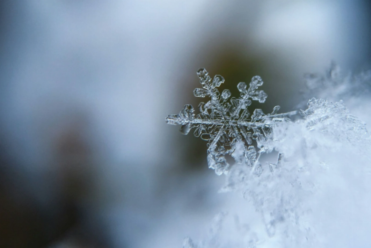 Dingen om te doen in Vlaardingen in de winter