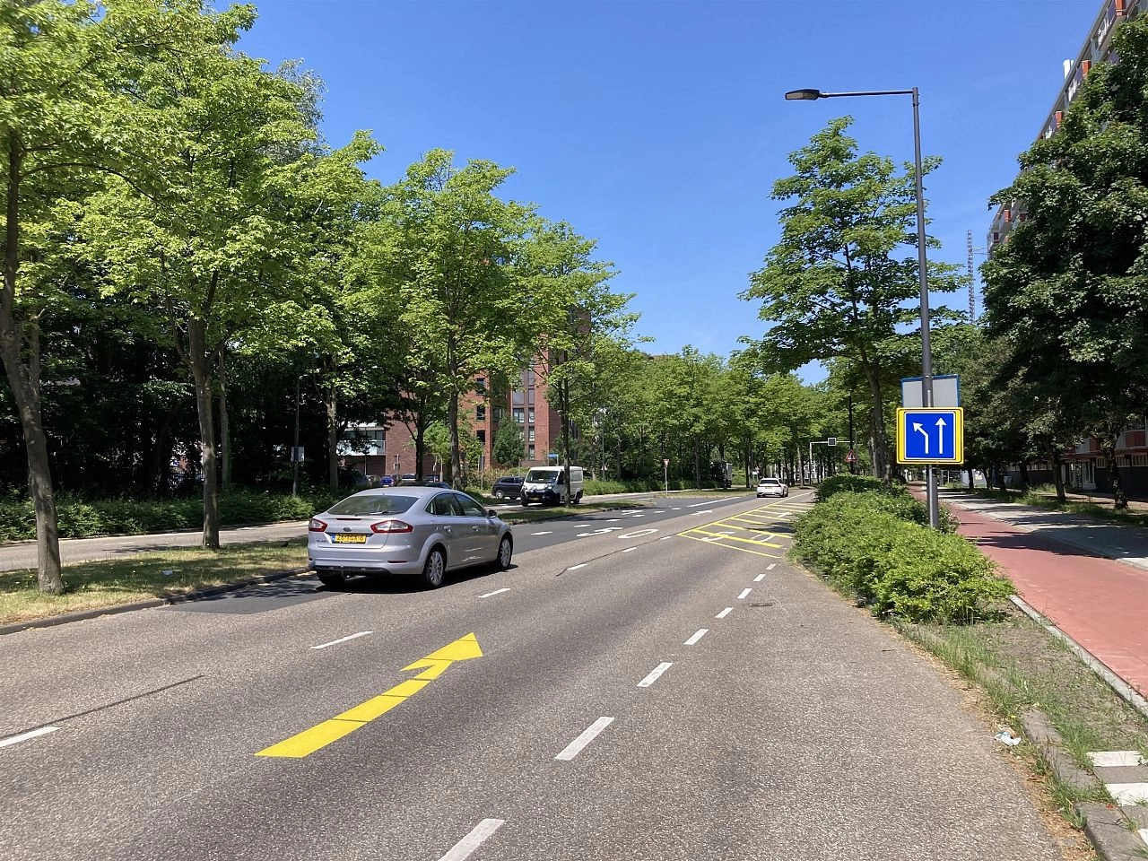 Bomenkap (en aanplant) aan de Holysingel