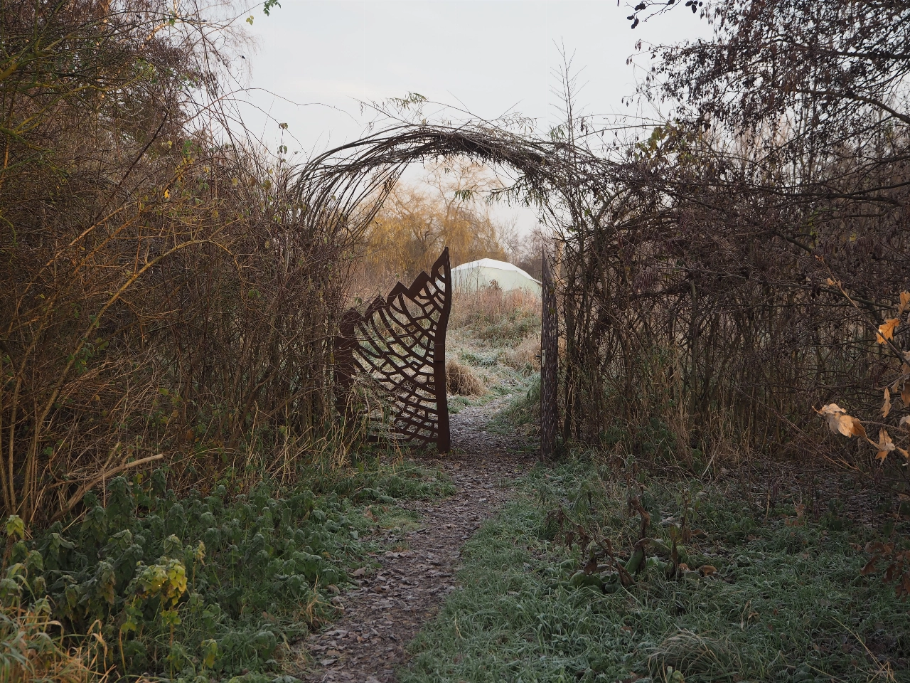 Vandaag: rondleiding Voedselbos, Bach in de Bethel en een lekker zonnetje