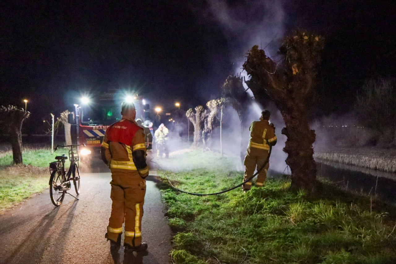 Opnieuw boom in brand op de Holyweg