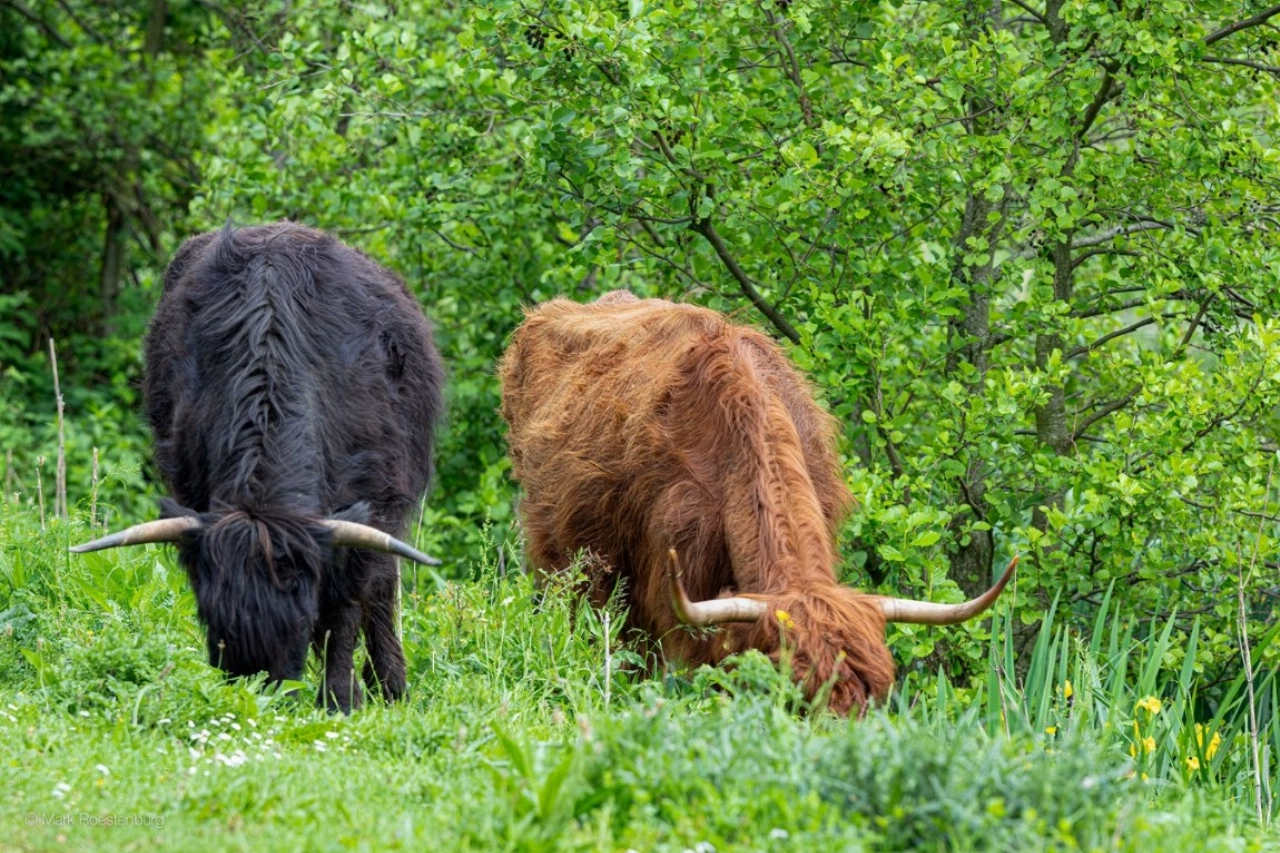 Wandelen met de Federatie Broekpolder