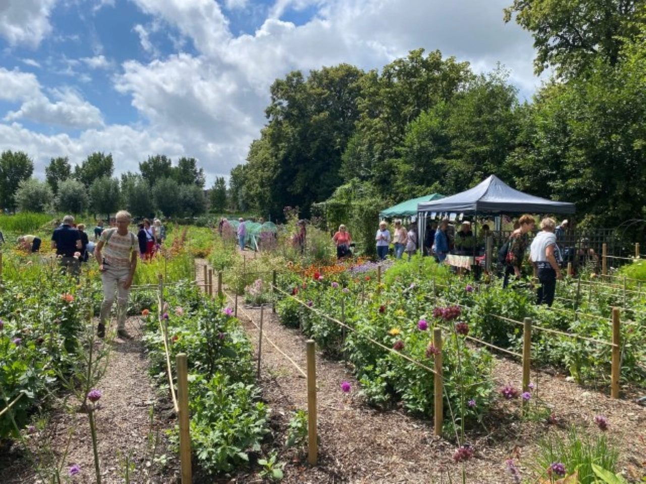 Open Akker Stadslandbouw aan de Westlandseweg
