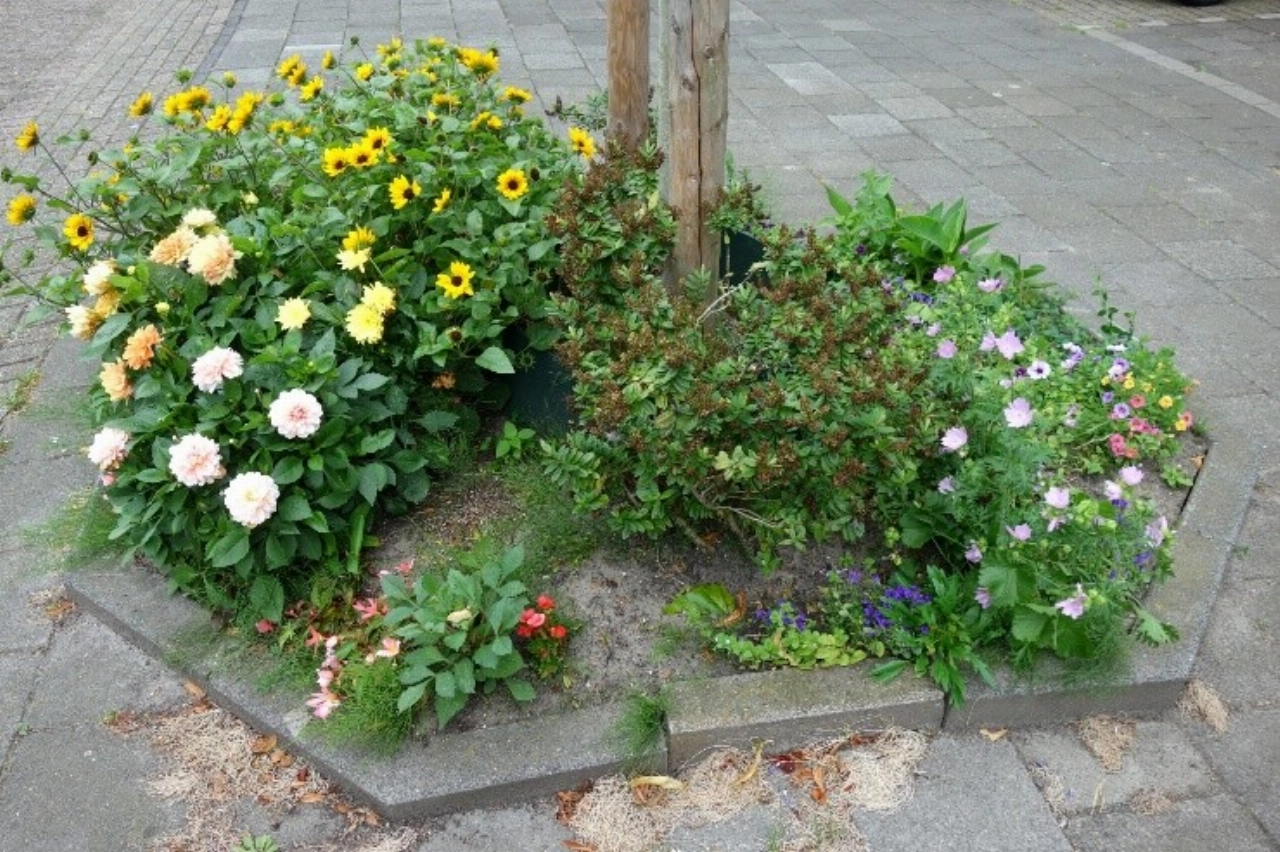 Ga aan de slag met je boomspiegel!