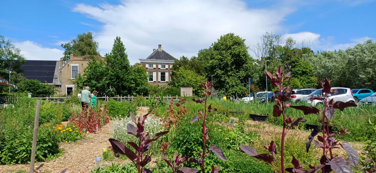 Open Akker bij de Stadslandbouw Westlandseweg