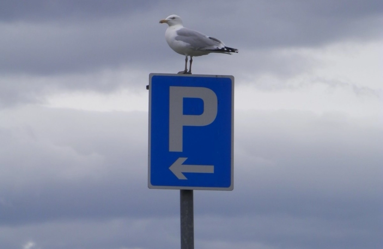 Parkeertarieven: verschil parkeergarages en straat gegroeid