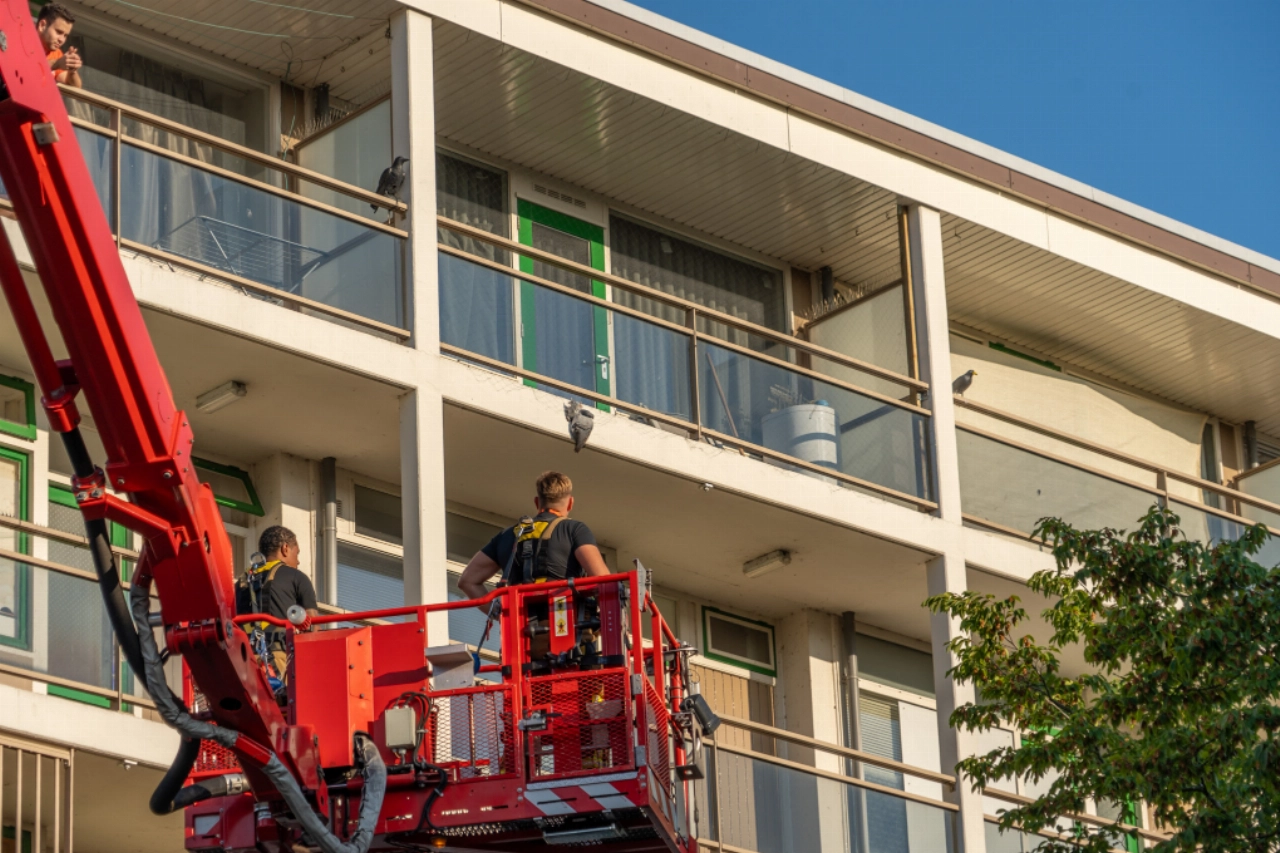Duif zit klem, brandweer schiet te hulp