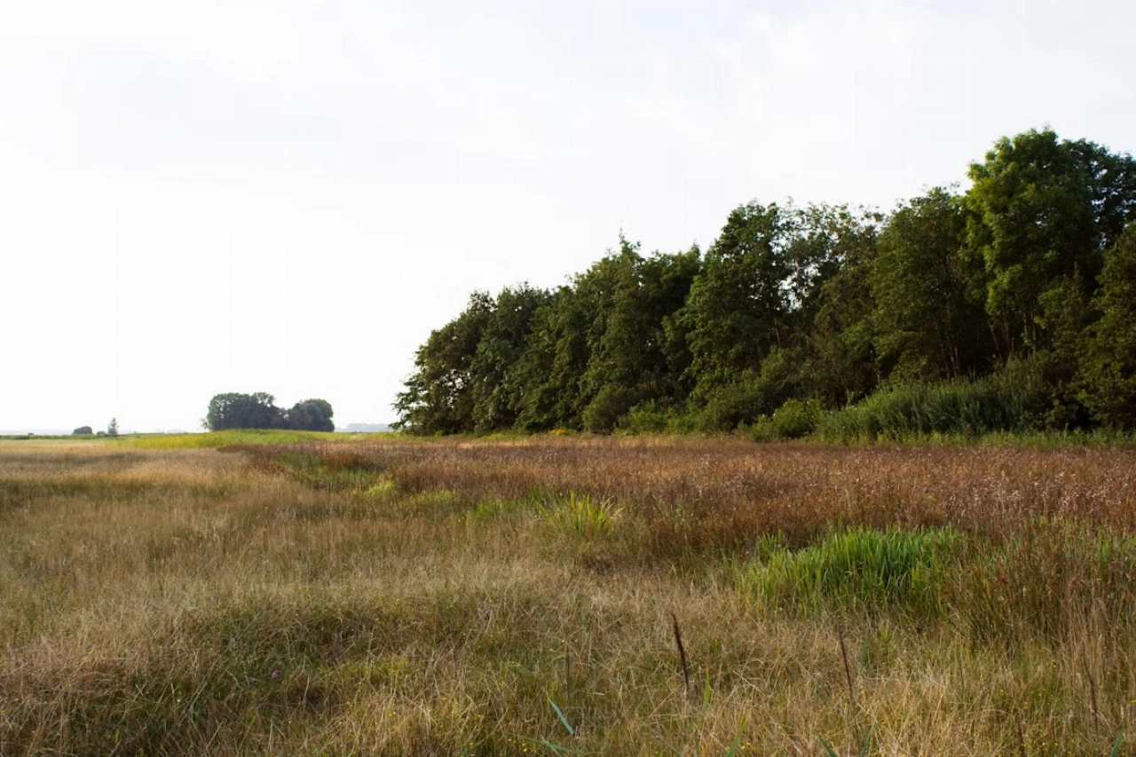 Een mooie uitvaart, passend bij een liefdevol leven