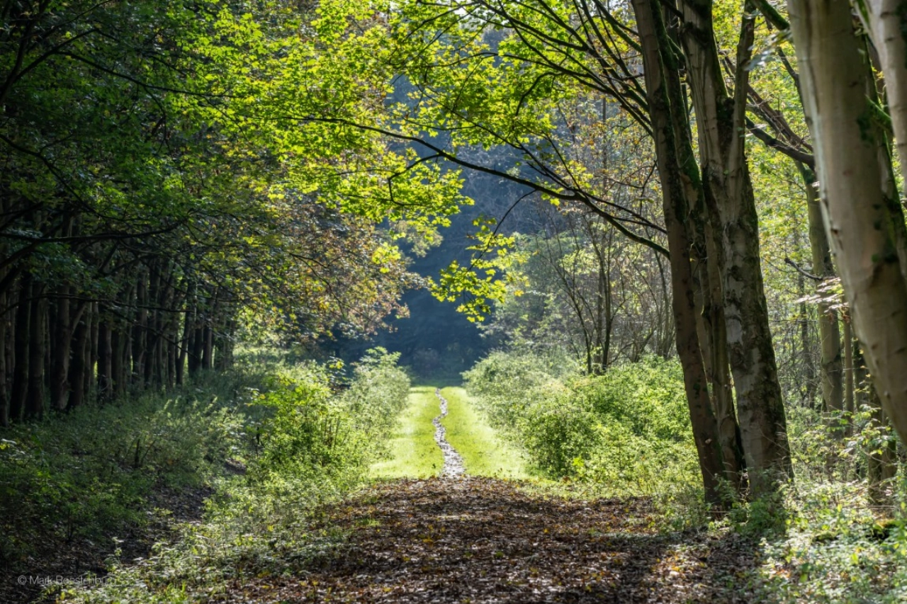 Drukke oktobermaand in de Broekpolder