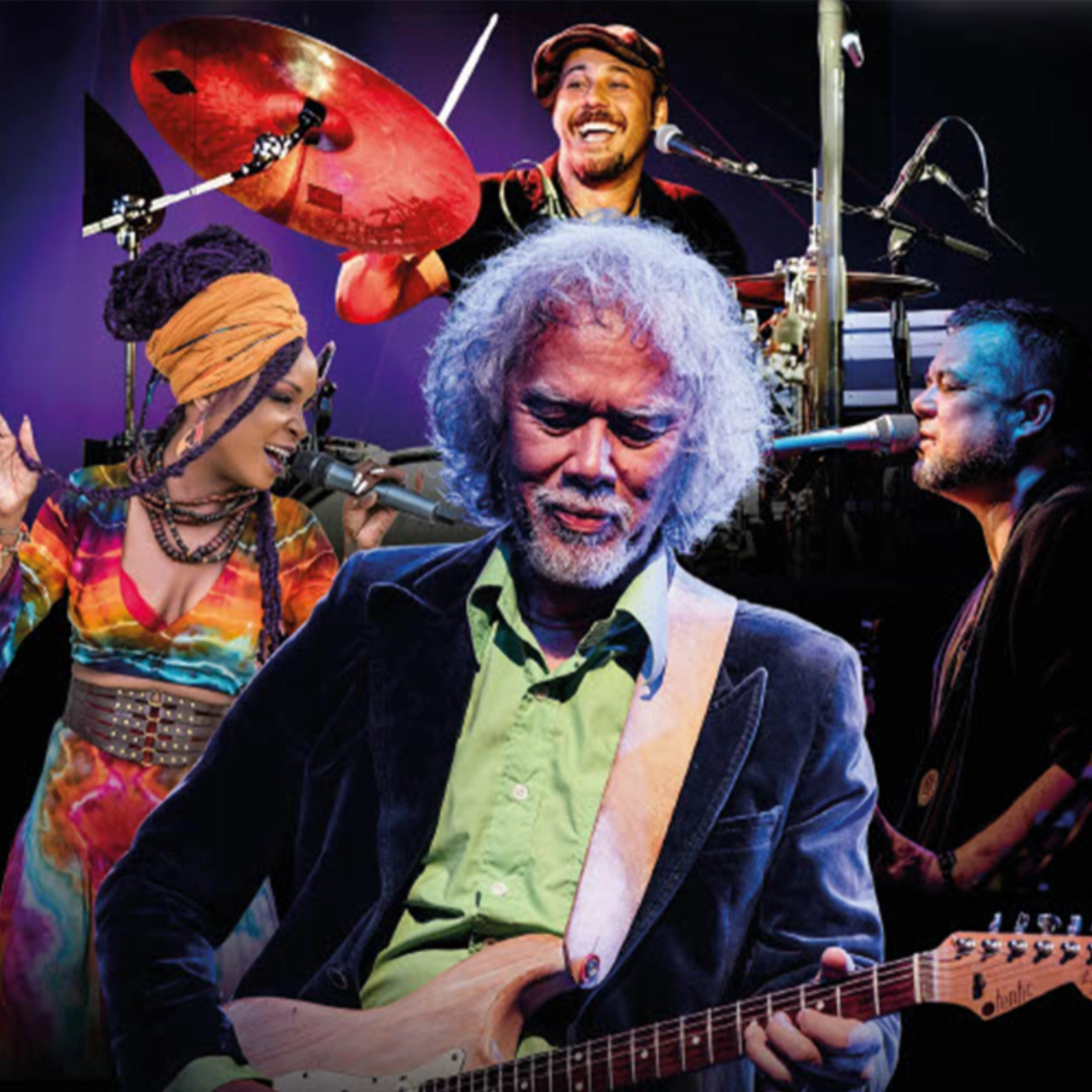 Gitarist Erwin Java brengt ode aan blueslegendes