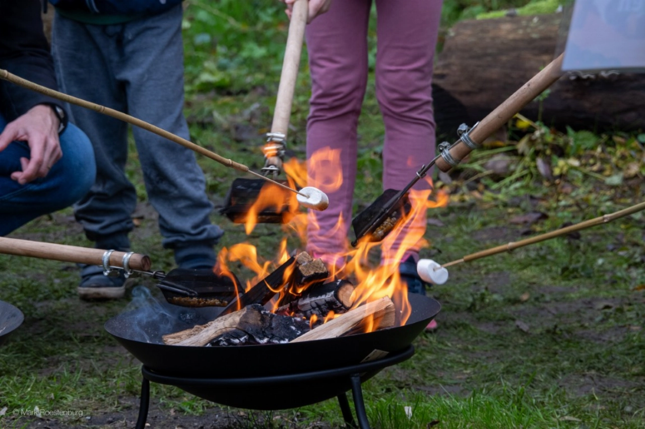 Herfst-Doe-Dag in de Broekpolder