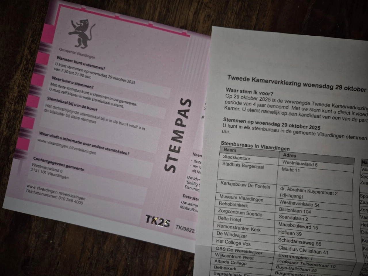 Maatschappelijke organisaties roepen op: ga stemmen op 29 oktober!