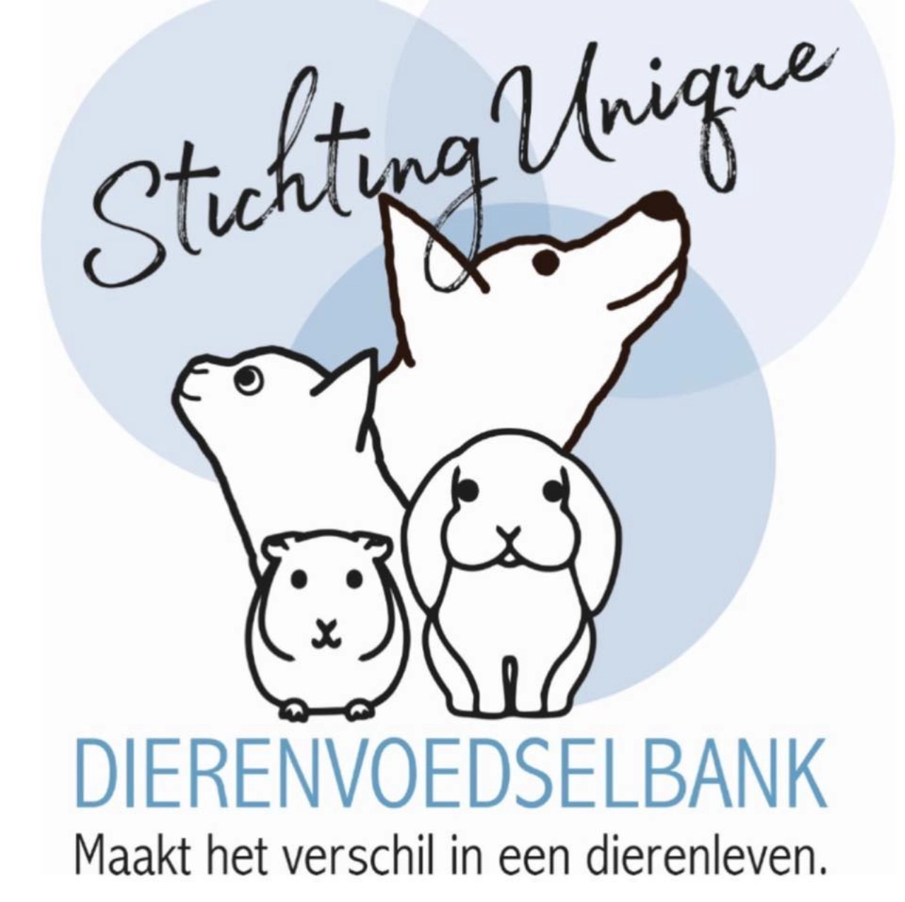 Nieuwe Dierenvoedselbank Vlaardingen opent haar deuren!
