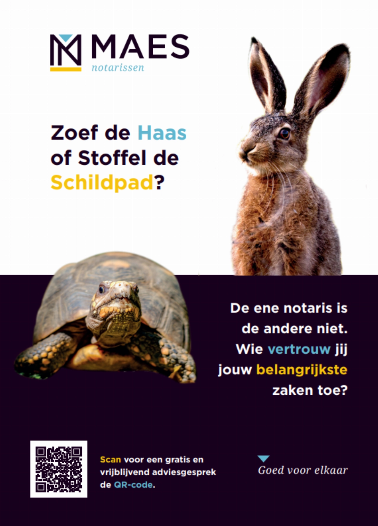 Tips en Tricks van MAES notarissen