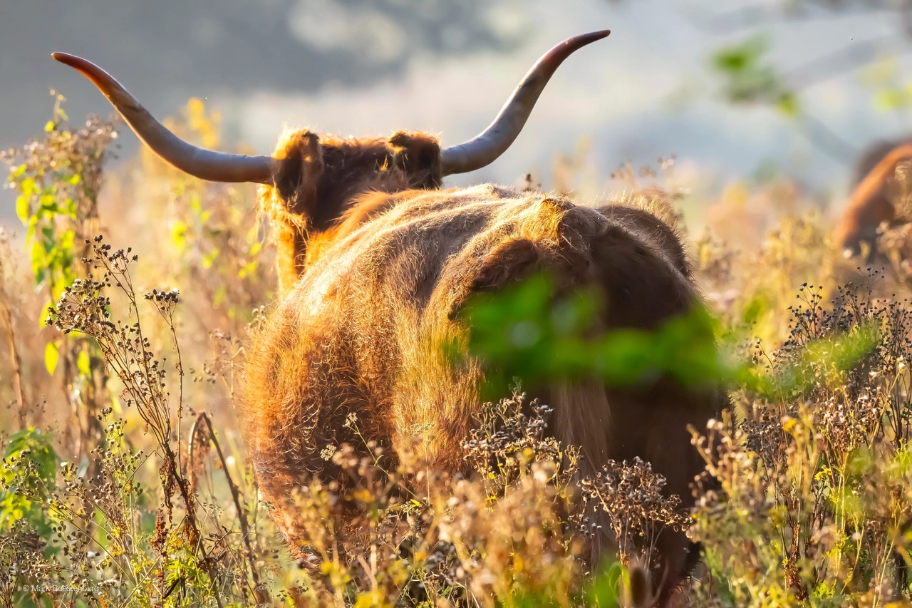 Winter in de Broekpolder: doe mee met de activiteiten!