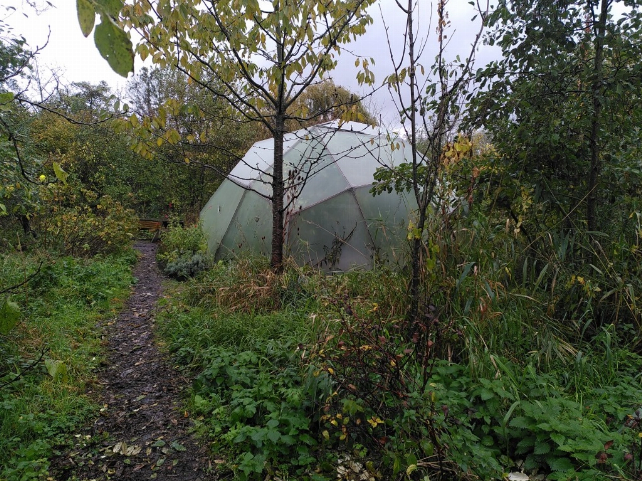 Rondleiding in Voedselbos Vlaardingen