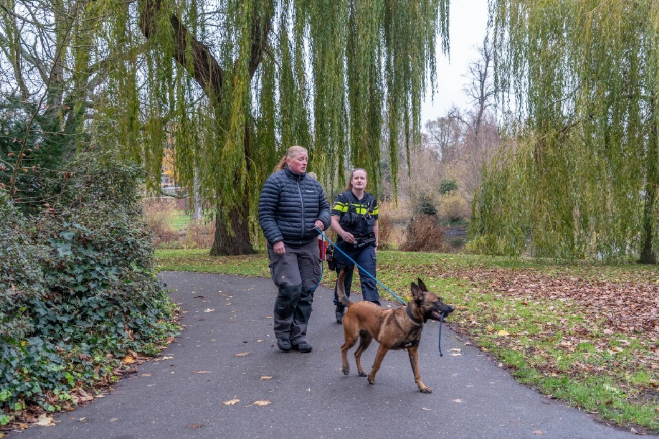 Speurhond ingezet in zoektocht naar vuurwapen in Vlaardingen