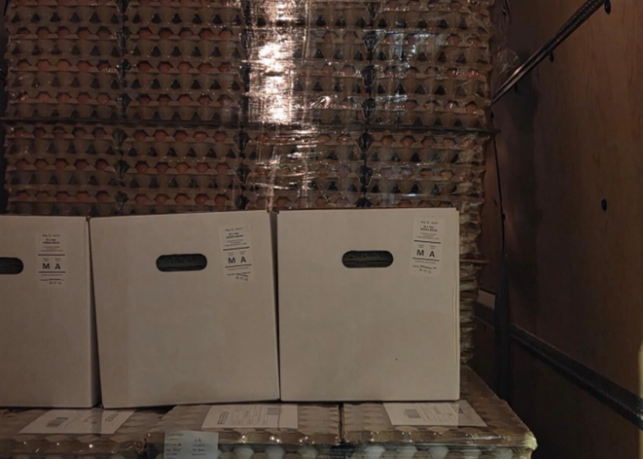 Politie haalt overbeladen bestelbus van de weg, blijkt gevuld met... eieren!