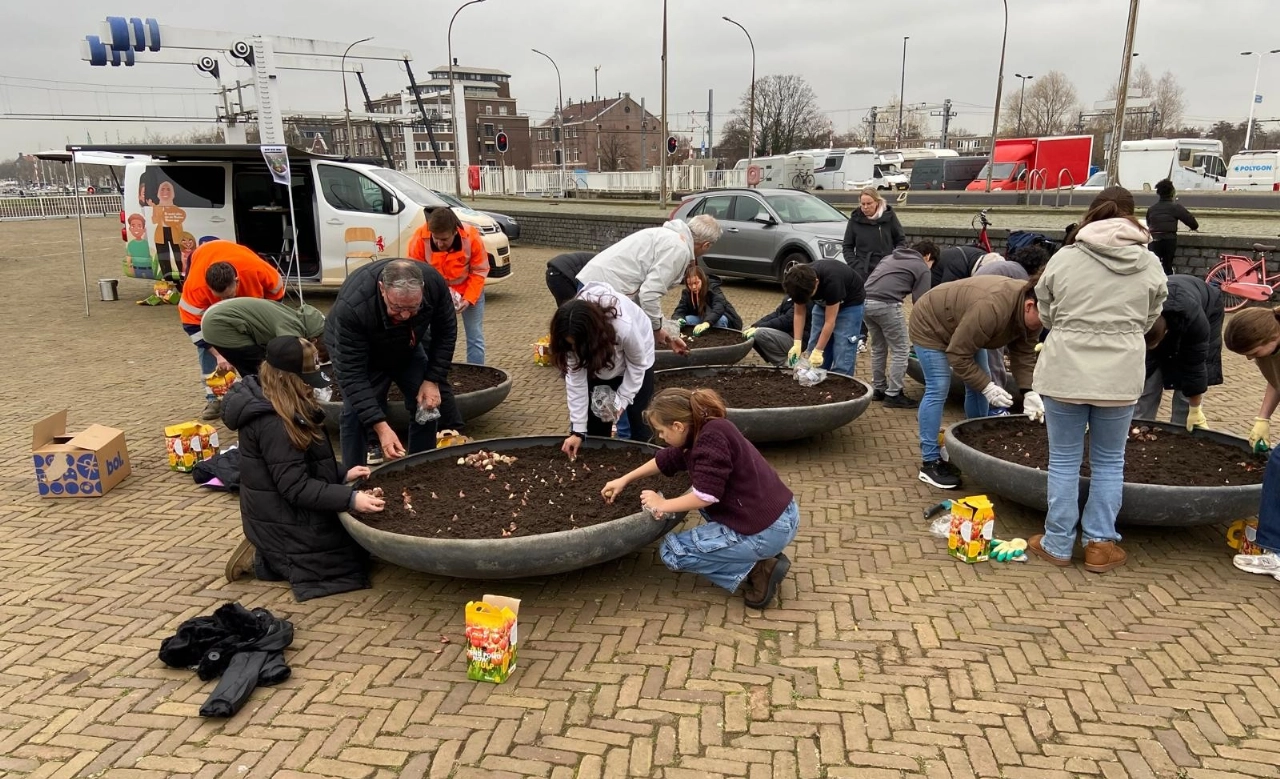 Kinderen planten 800 tulpenbollen in hartje Vlaardingen voor strijd tegen polio