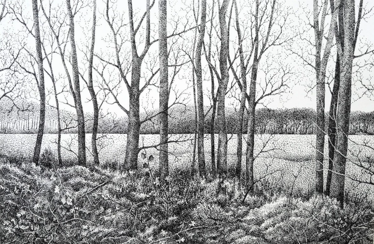 Hijmen van Keulen exposeert in de Groene Luiken