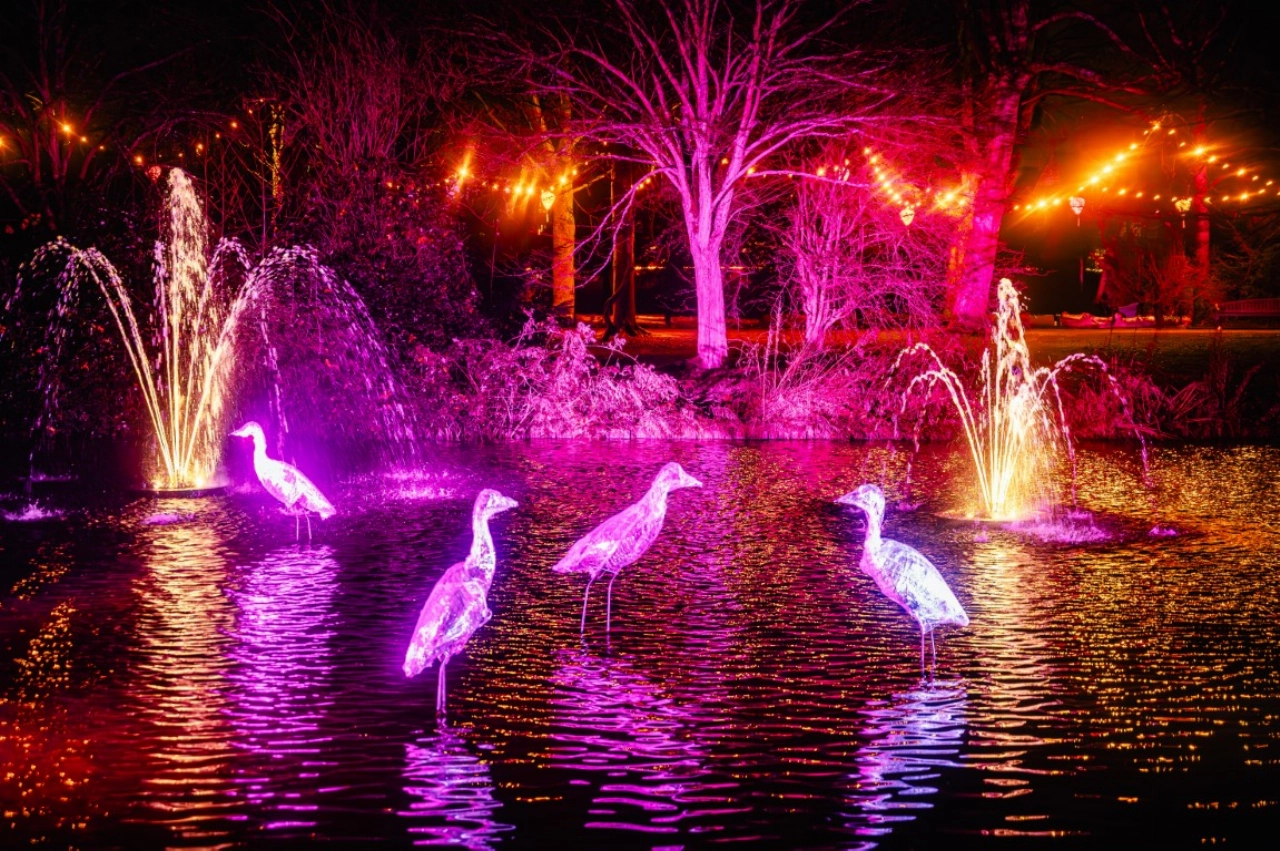 Vlaardingen straalt… met water als magisch lichtspel!