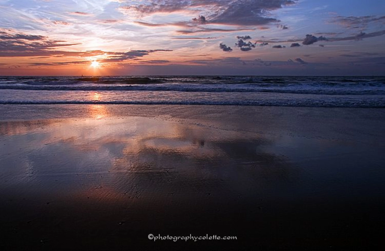 Train je vermogen tot verandering: mindfulness-training in Vlaardingen