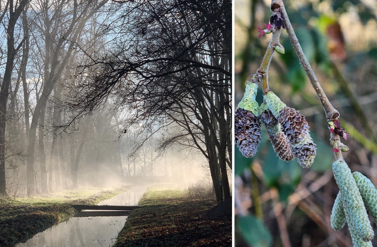 Bomen en knoppenwandeling in de Broekpolder