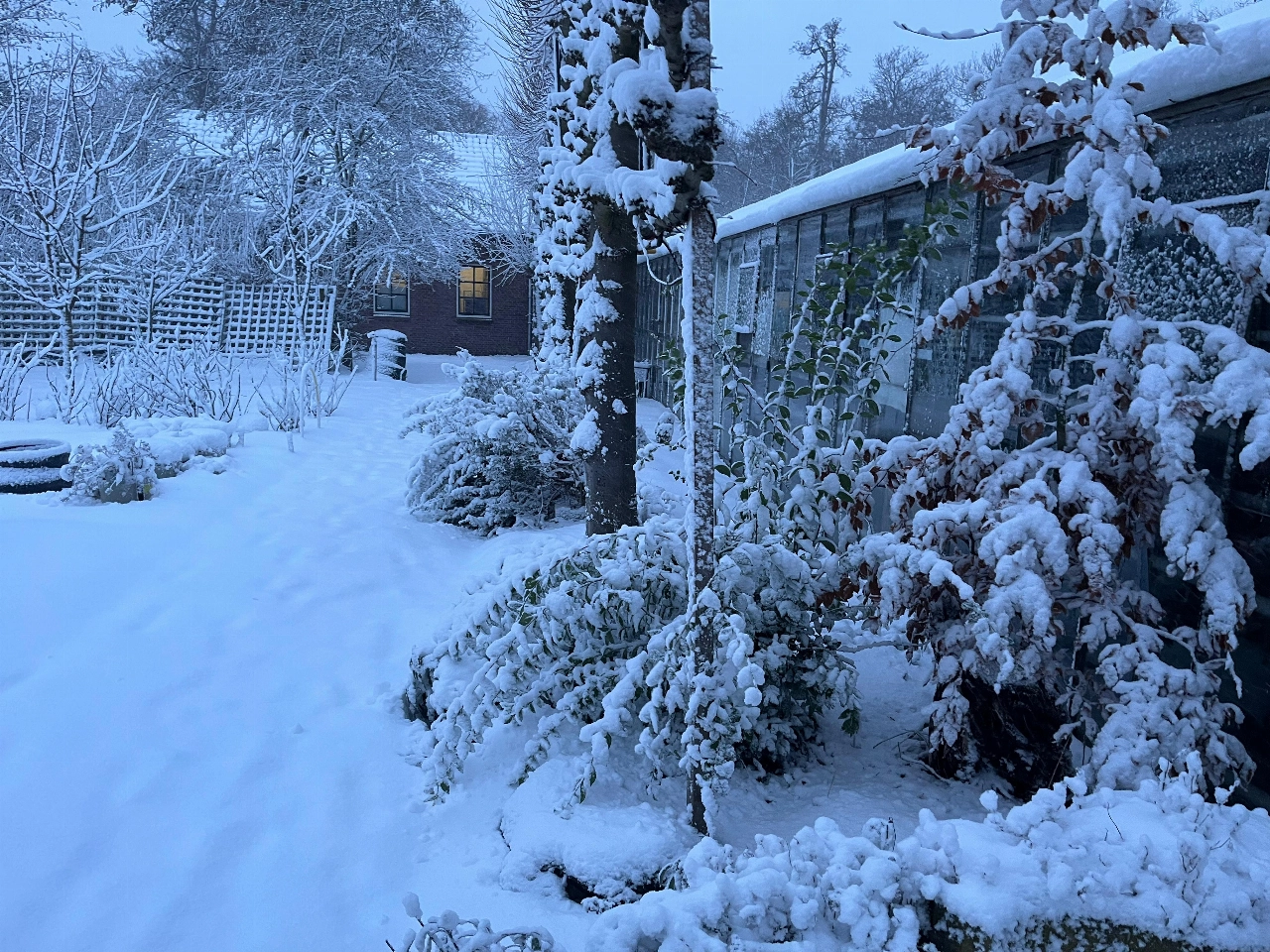 Winteravontuur in de Kindertuin: Help jij de dieren de winter door?