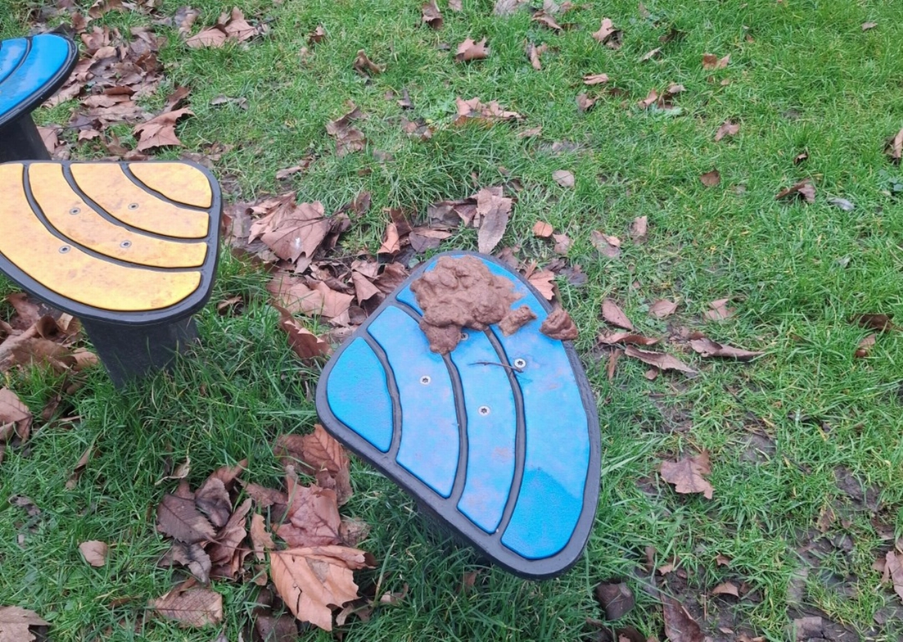 Ingezonden: hondenpoep of...