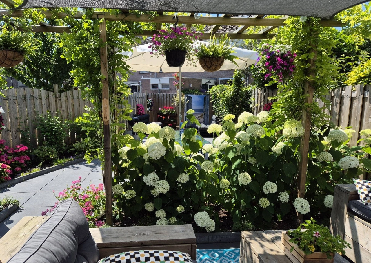 Gezonde bodem, sterke planten: waarom natuurlijke voeding steeds populairder wordt